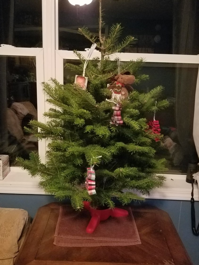 Here sits our perfect Rorick-sized Christmas tree in all of its two-foot glory.