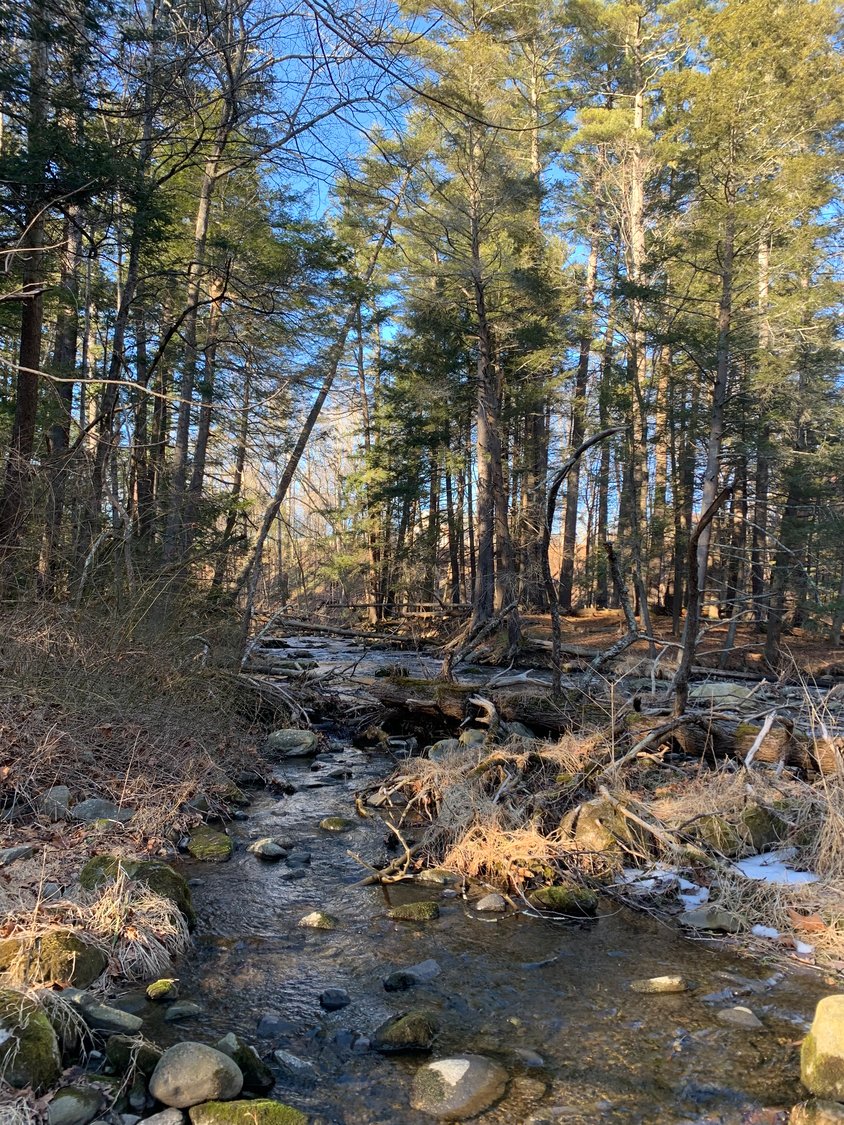 Opt outside and cure cabin fever while exploring the winter landscape of the Sawkill Creek.