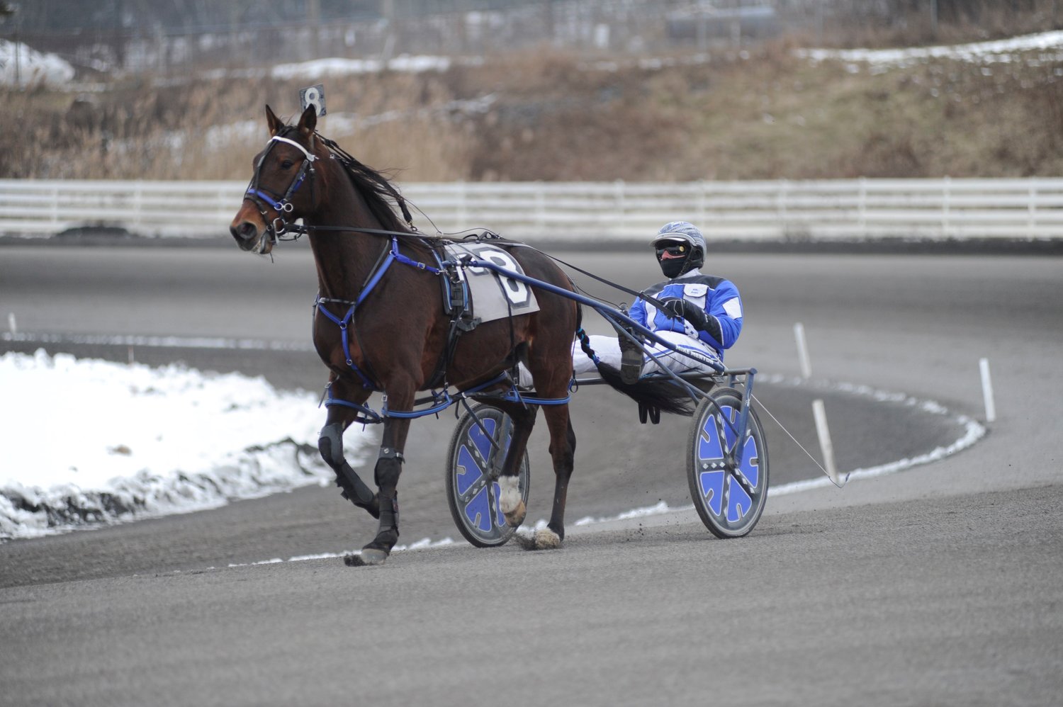 Warm-up time. Driver Mike Merton finished fourth in the third race of the afternoon with a time of 1:56.3. Real Lucky is trained by Rob Harmon and owned by Harmon Stables of Milford, PA.