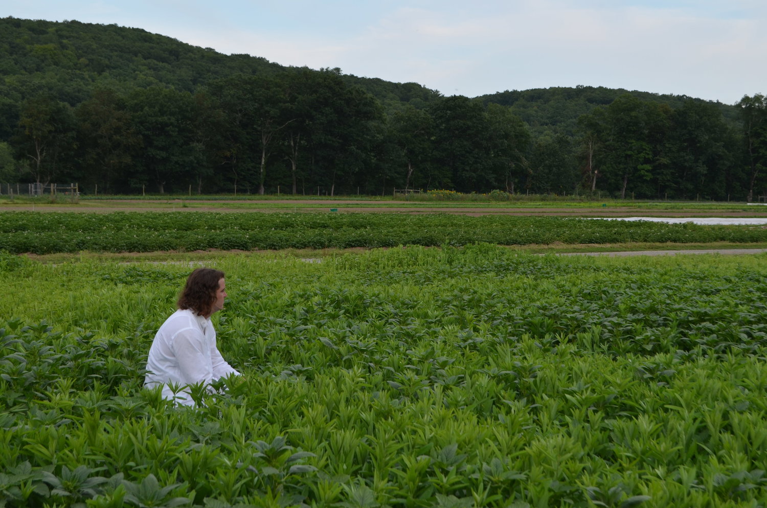 Carl Sagan (played by Hudson Williams-Eynon) looks out across the gorgeous landscape of Willow Wisp Organic Farm.
