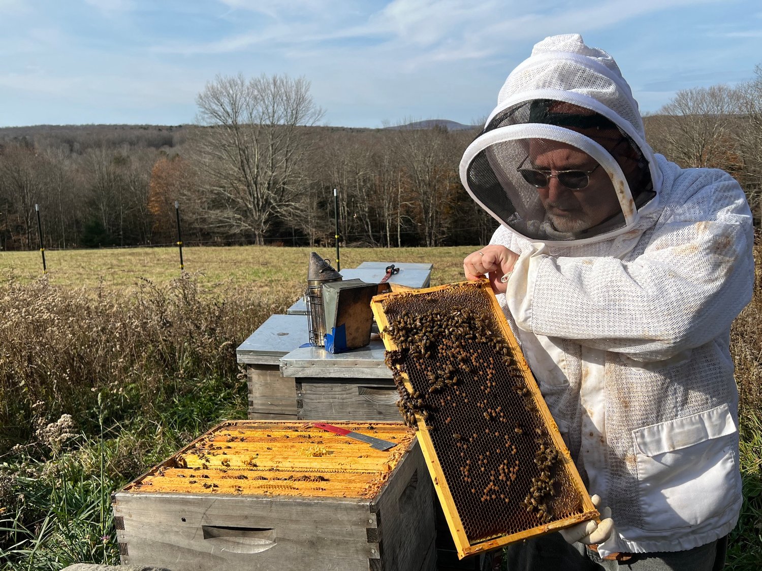 SUNY Sullivan economics professor and campus beekeeper Art Riegal gets the hives ready for winter.