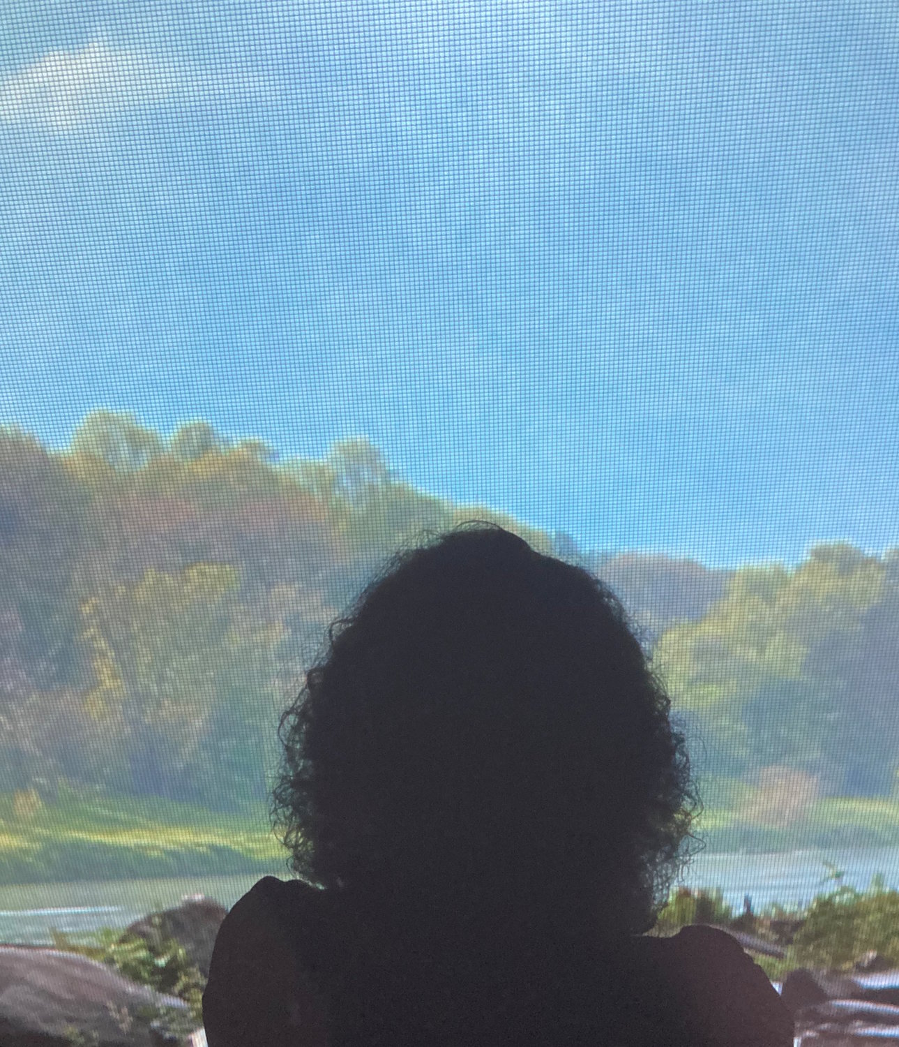 “You have to pick the places you don’t walk away from,” wrote Joan Didion in “A Book of Common Prayer.” For me, that place is the Upper Delaware River region. Here, the iconic river appears in the background against this selfie silhouette on the screen during my exhibit, “Impermanence,” last fall.