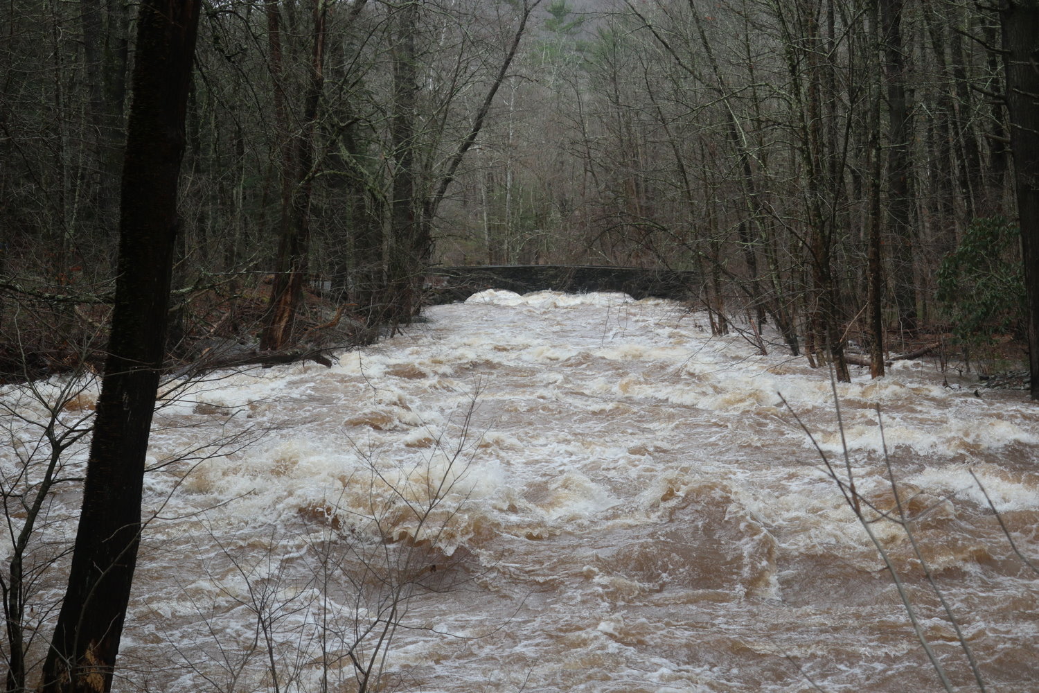 Nearly three inches of rain fell on Thursday, April 7 and caused harardous driving and localized flooding. According to waterdata.usgs.gov, the Delaware River crested at 16.52 feet at Barryville on April 8 at noon.