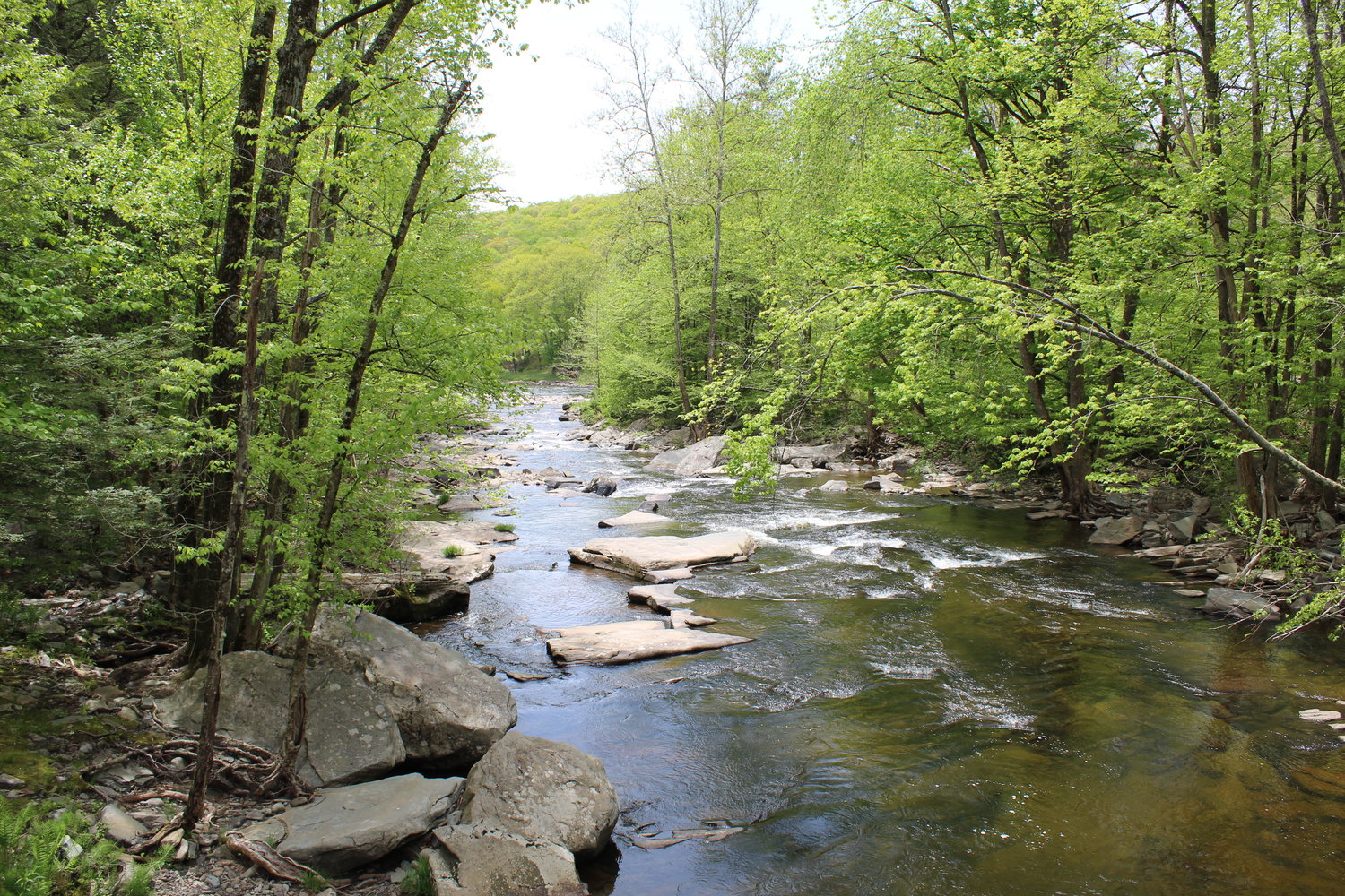 The Ten Mile River still weaves its way through forest, passing the remnants of 19th-century settlements, and heading for the Delaware.